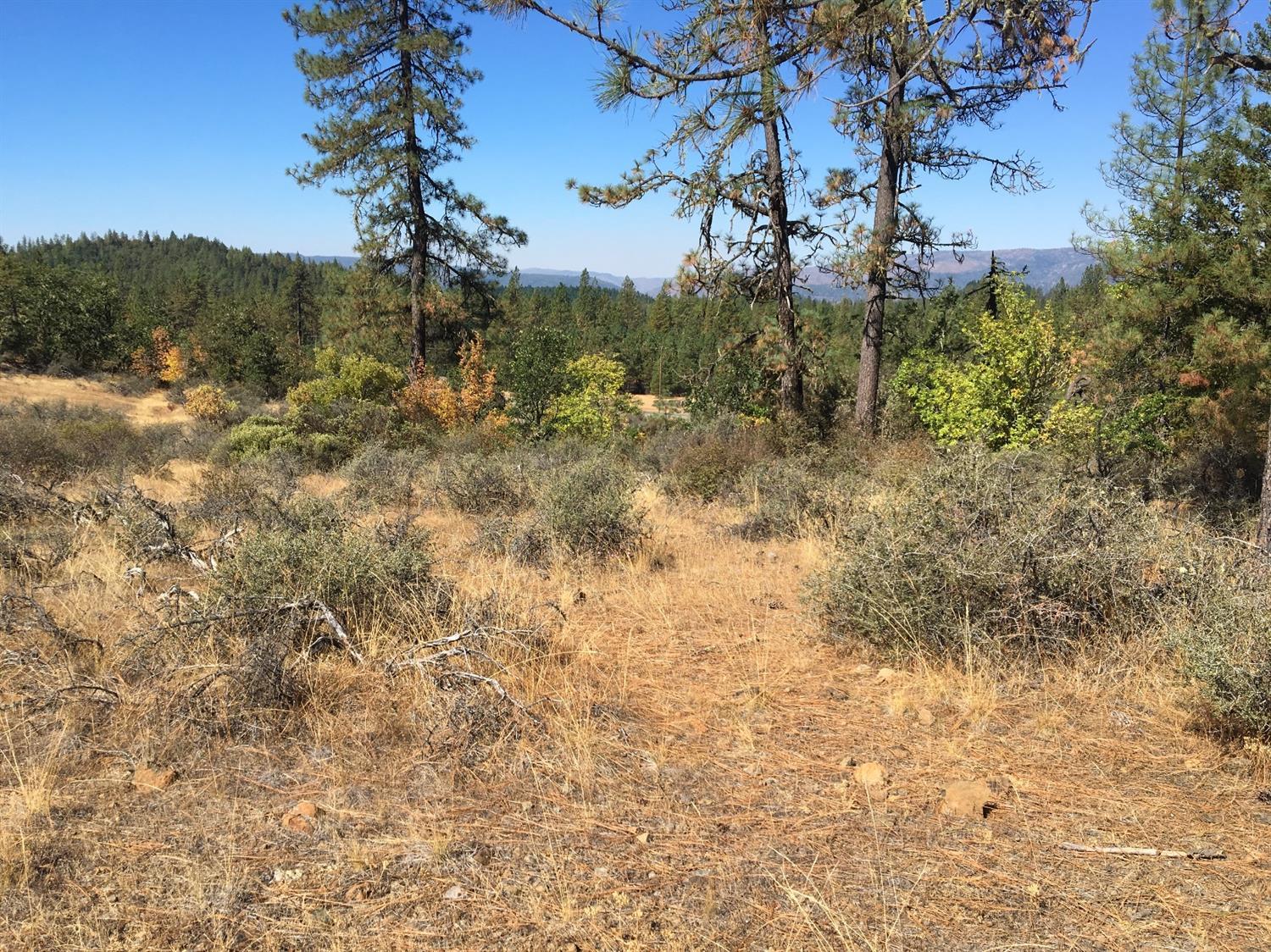 4481 Waldo Road Cave Junction, OR 97523 - Photo 6 of 13 a view of a yard with trees