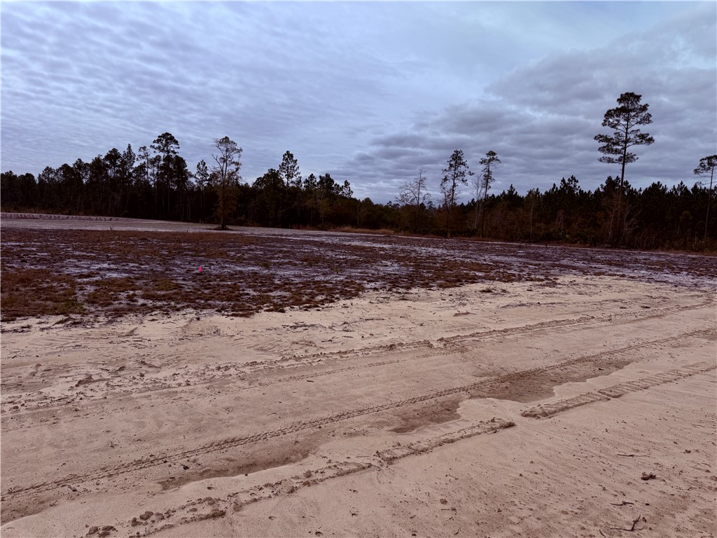 Lot 11 Wiregrass Lane, Unit 11 Waycross, GA 31503 - Photo 2 of 6