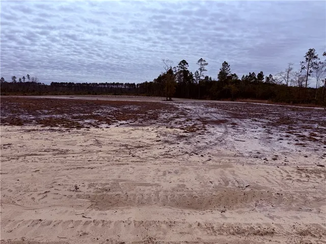 $25,500 | Lot 11 Wiregrass Lane, Unit 11, Waycross, GA 31503