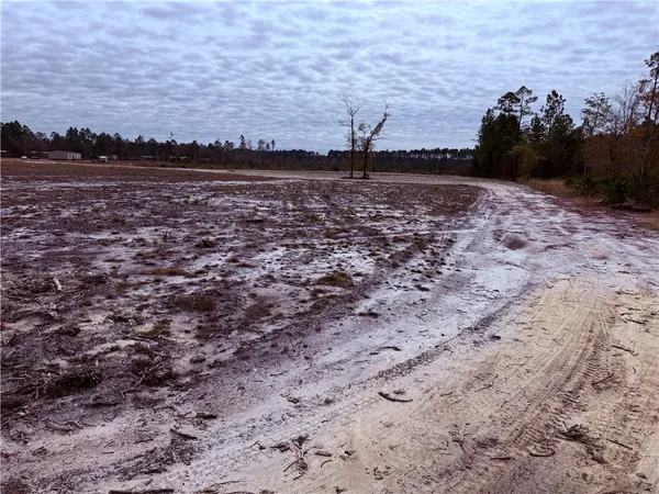 $25,500 | Lot 11 Wiregrass Lane, Unit 11, Waycross, GA 31503