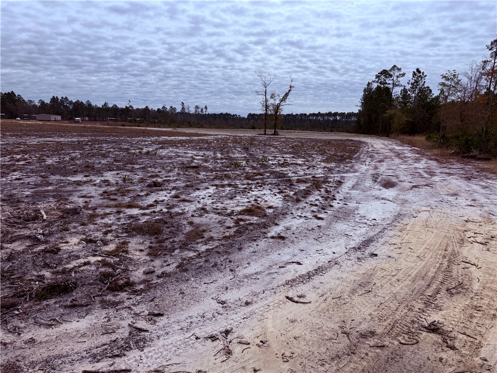 Lot 11 Wiregrass Lane, Unit 11 Waycross, GA 31503 - Photo 5 of 6