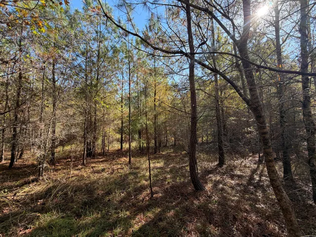 $180,000 | 0 South 24th Highway, Waynesboro, GA 30830