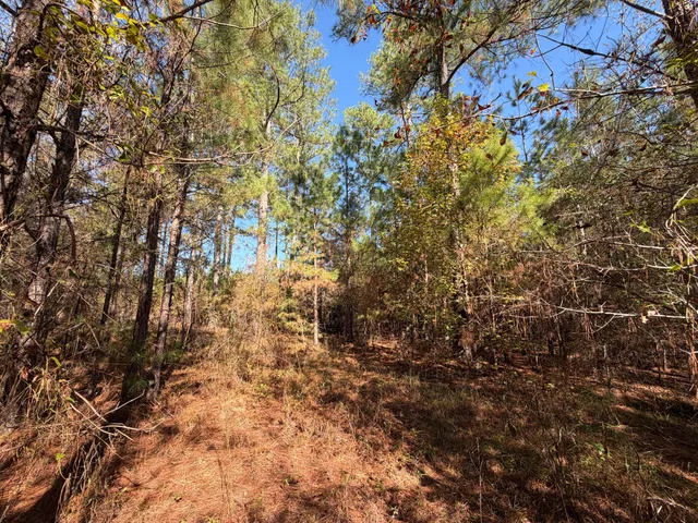 $180,000 | 0 South 24th Highway, Waynesboro, GA 30830