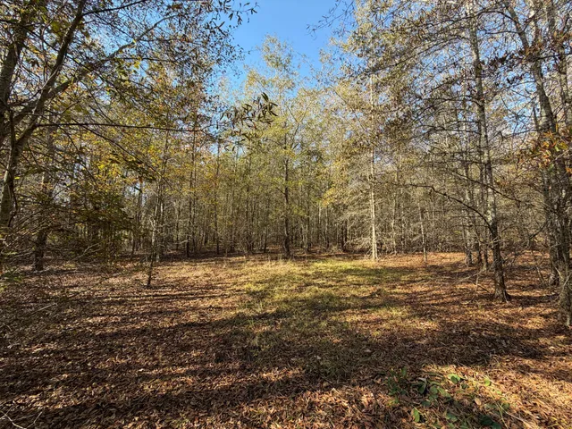 $180,000 | 0 South 24th Highway, Waynesboro, GA 30830