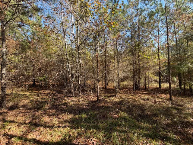 $180,000 | 0 South 24th Highway, Waynesboro, GA 30830