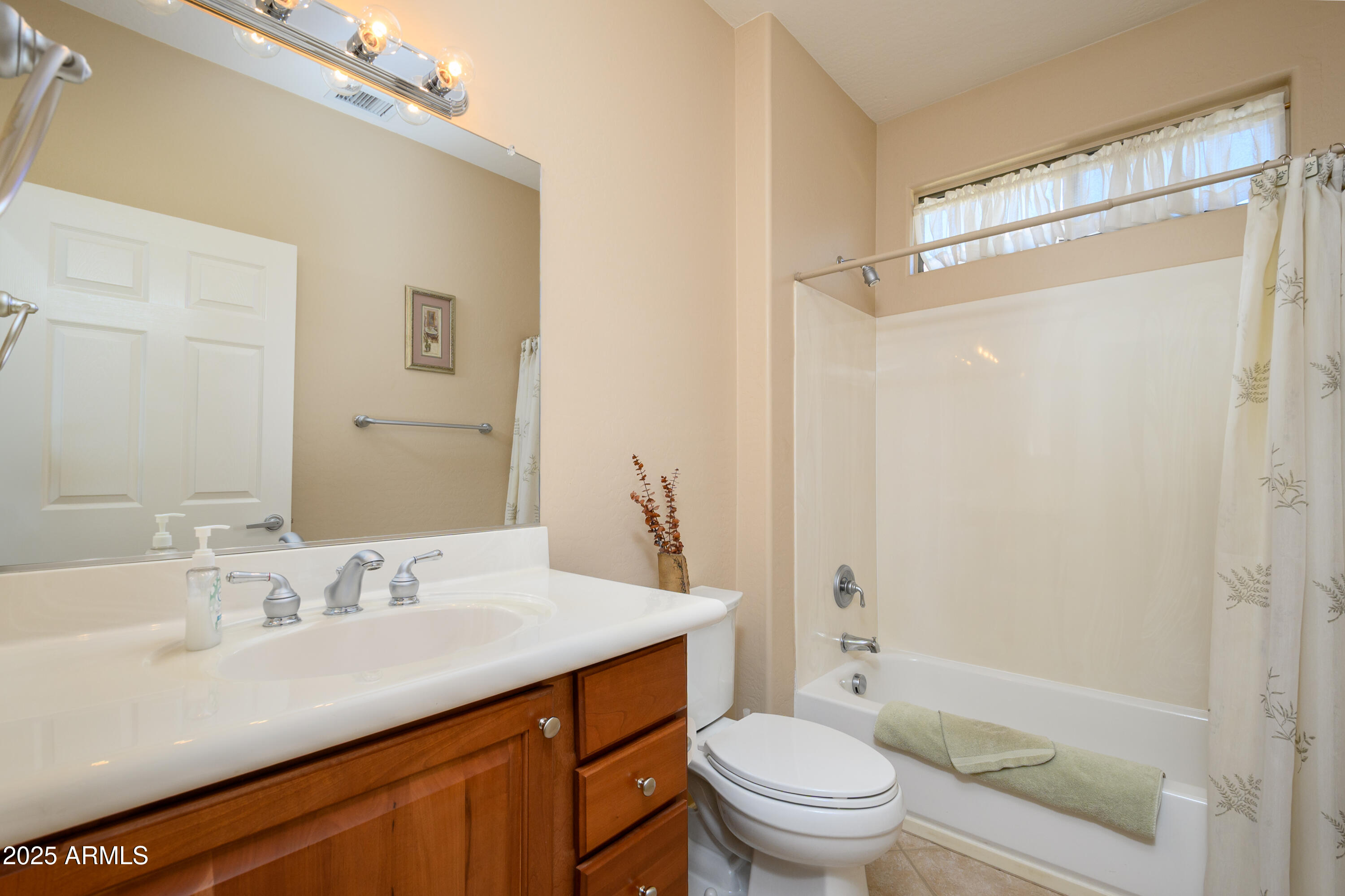 21003 North Circle Cliffs Drive Surprise, AZ 85387 - Photo 18 of 29 GUEST BATH