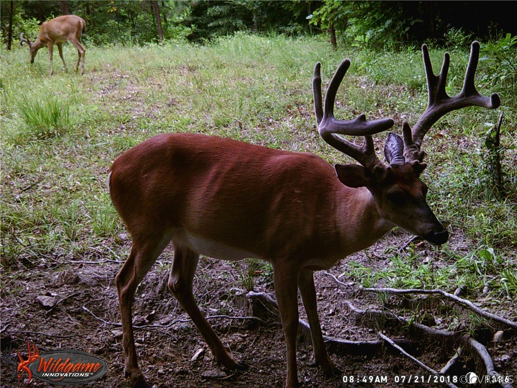 5543 Old Buckingham Road Powhatan, VA 23139 - Photo 5 of 7 Gallery Image 5