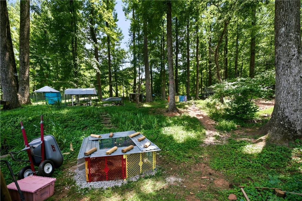 1042 Carl Bramlett Road Winder, GA 30680 - Photo 33 of 42