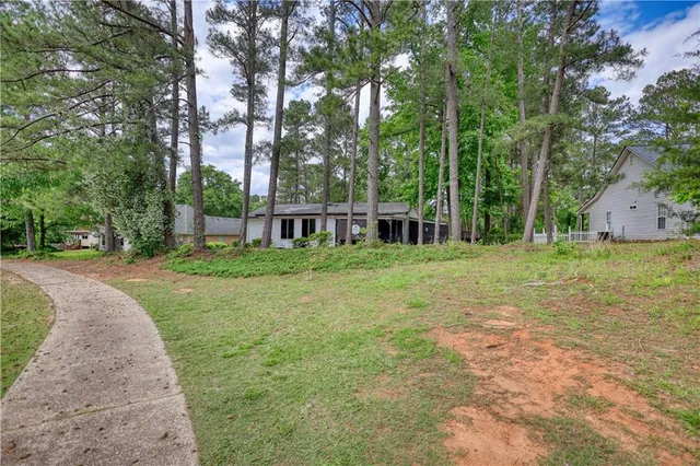 a view of a park with large trees