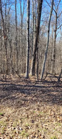 $12,500 | 0 Eagle Shore Drive, Dover, TN 37058