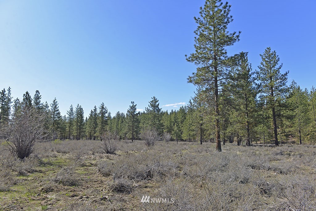 -parcel C Parcel C Rabbit Hutch Road Winthrop, WA 98862 - Photo 1 of 19 Gallery Image 1