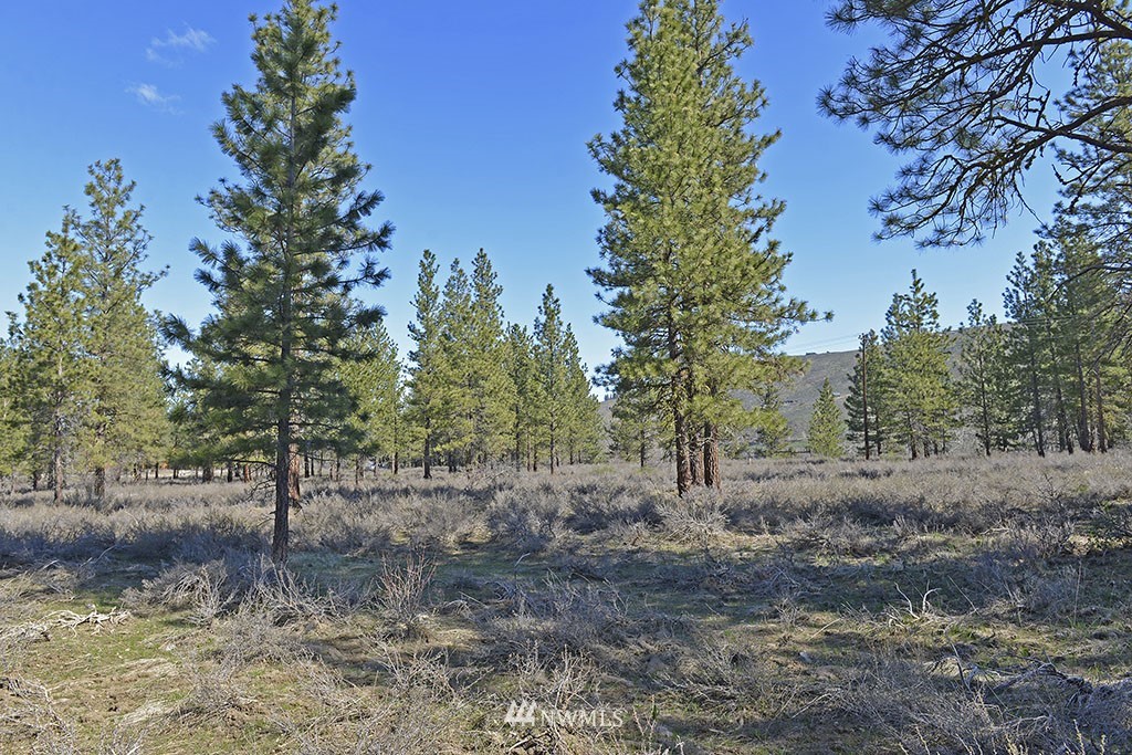 -parcel C Parcel C Rabbit Hutch Road Winthrop, WA 98862 - Photo 14 of 19 Gallery Image 14