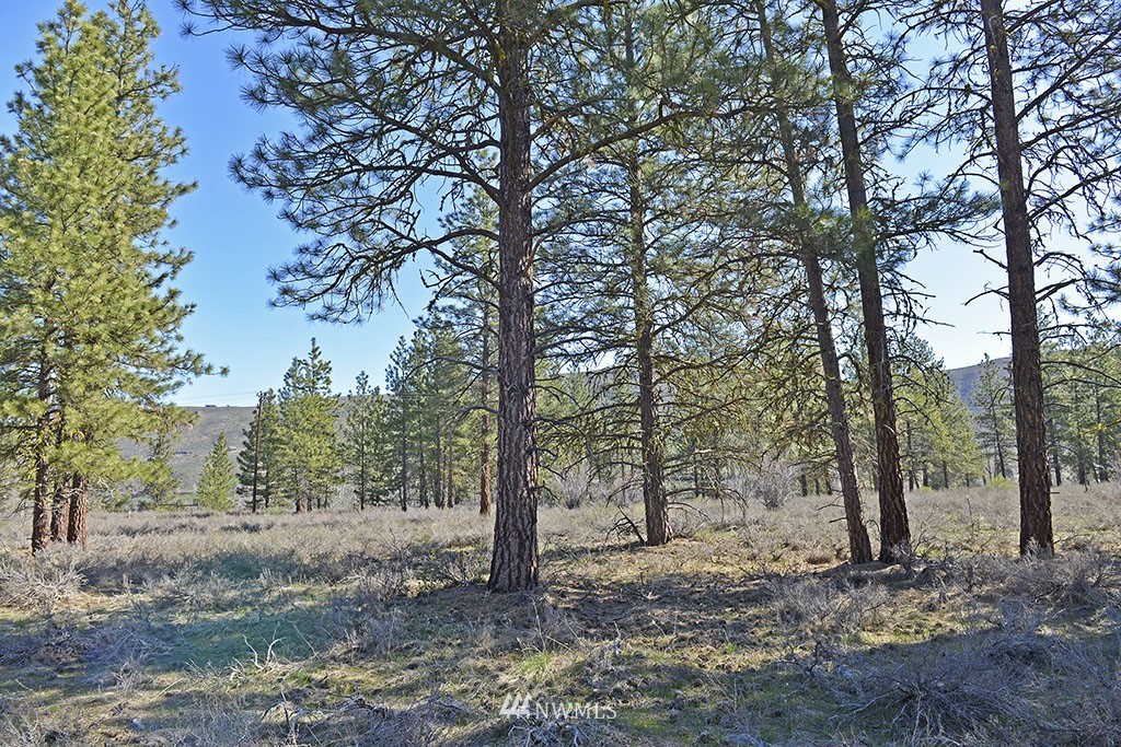 -parcel C Parcel C Rabbit Hutch Road Winthrop, WA 98862 - Photo 15 of 19 Gallery Image 15