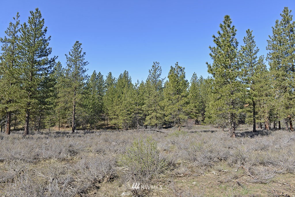 -parcel C Parcel C Rabbit Hutch Road Winthrop, WA 98862 - Photo 3 of 19 Gallery Image 3