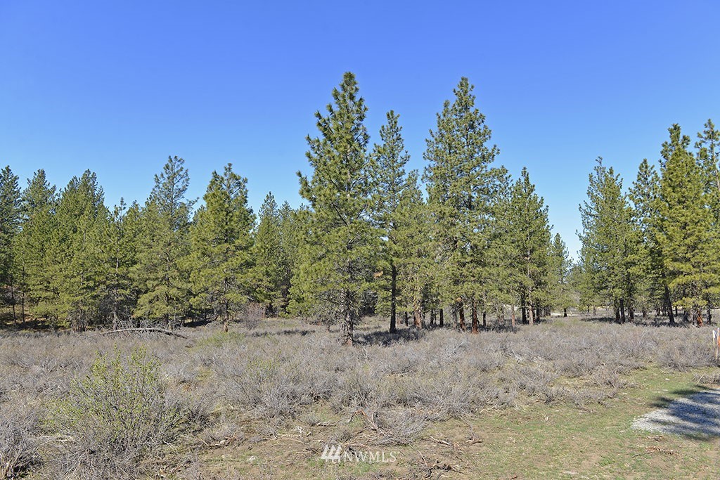 -parcel C Parcel C Rabbit Hutch Road Winthrop, WA 98862 - Photo 4 of 19 Gallery Image 4