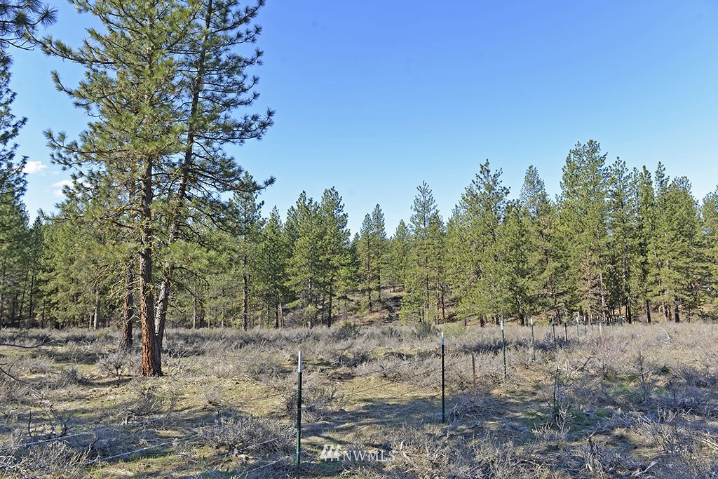 -parcel C Parcel C Rabbit Hutch Road Winthrop, WA 98862 - Photo 5 of 19 Gallery Image 5