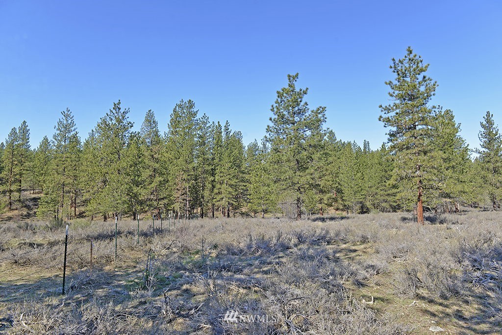 -parcel C Parcel C Rabbit Hutch Road Winthrop, WA 98862 - Photo 6 of 19 Gallery Image 6