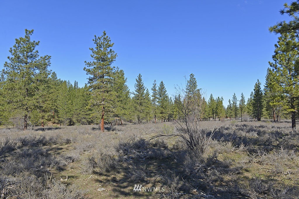 -parcel C Parcel C Rabbit Hutch Road Winthrop, WA 98862 - Photo 7 of 19 Gallery Image 7