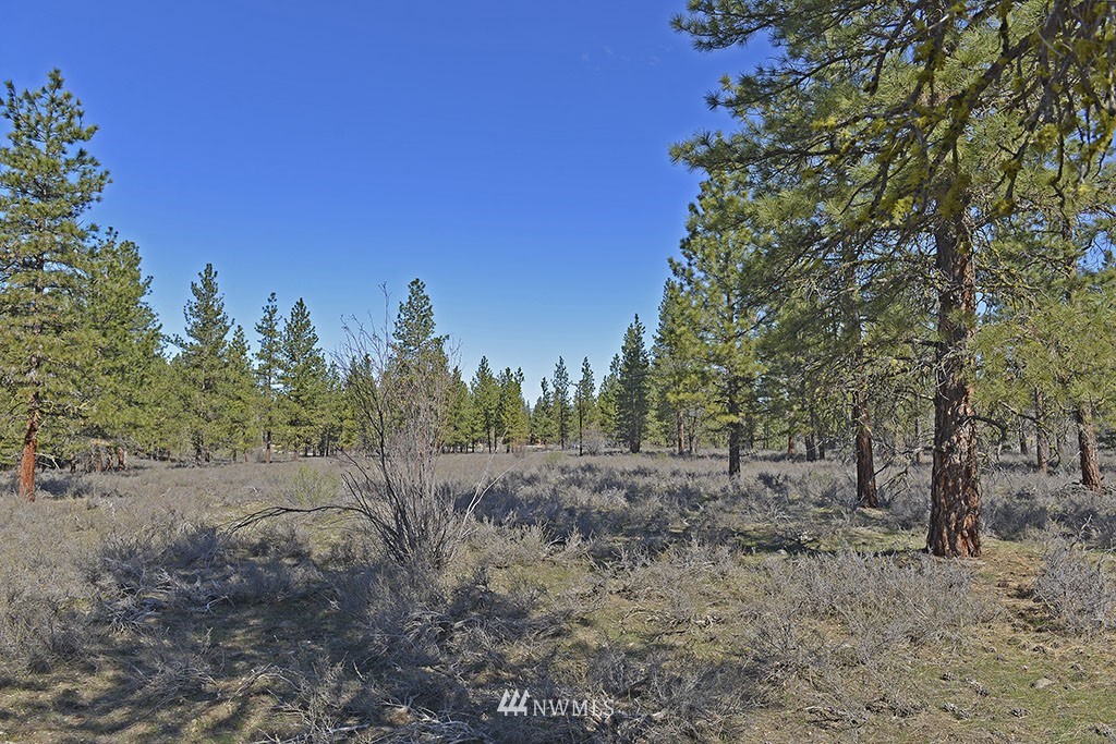 -parcel C Parcel C Rabbit Hutch Road Winthrop, WA 98862 - Photo 8 of 19 Gallery Image 8