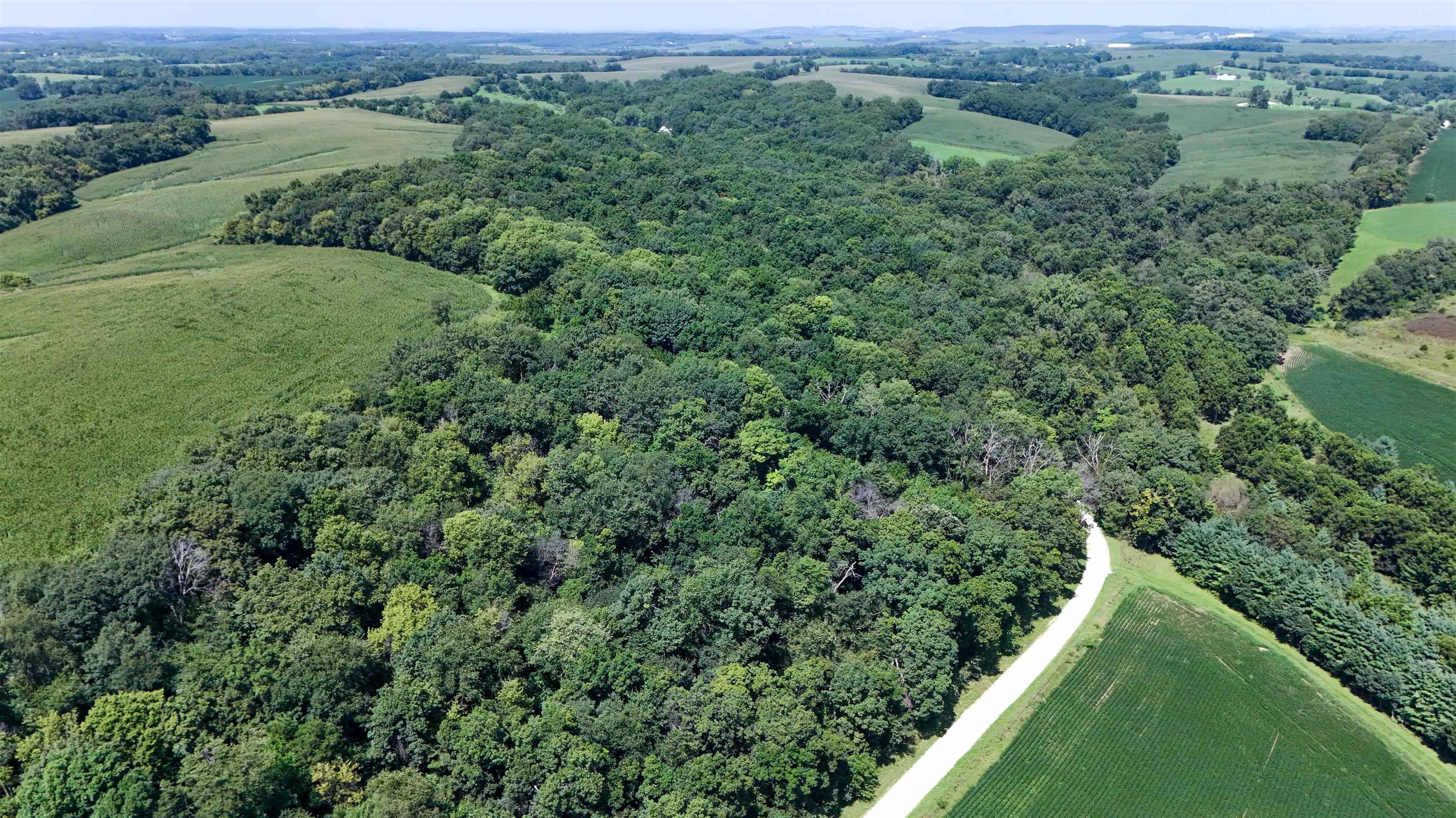 0 South Flint Road Pearl City, IL 61062 - Photo 36 of 50 Gallery Image 36