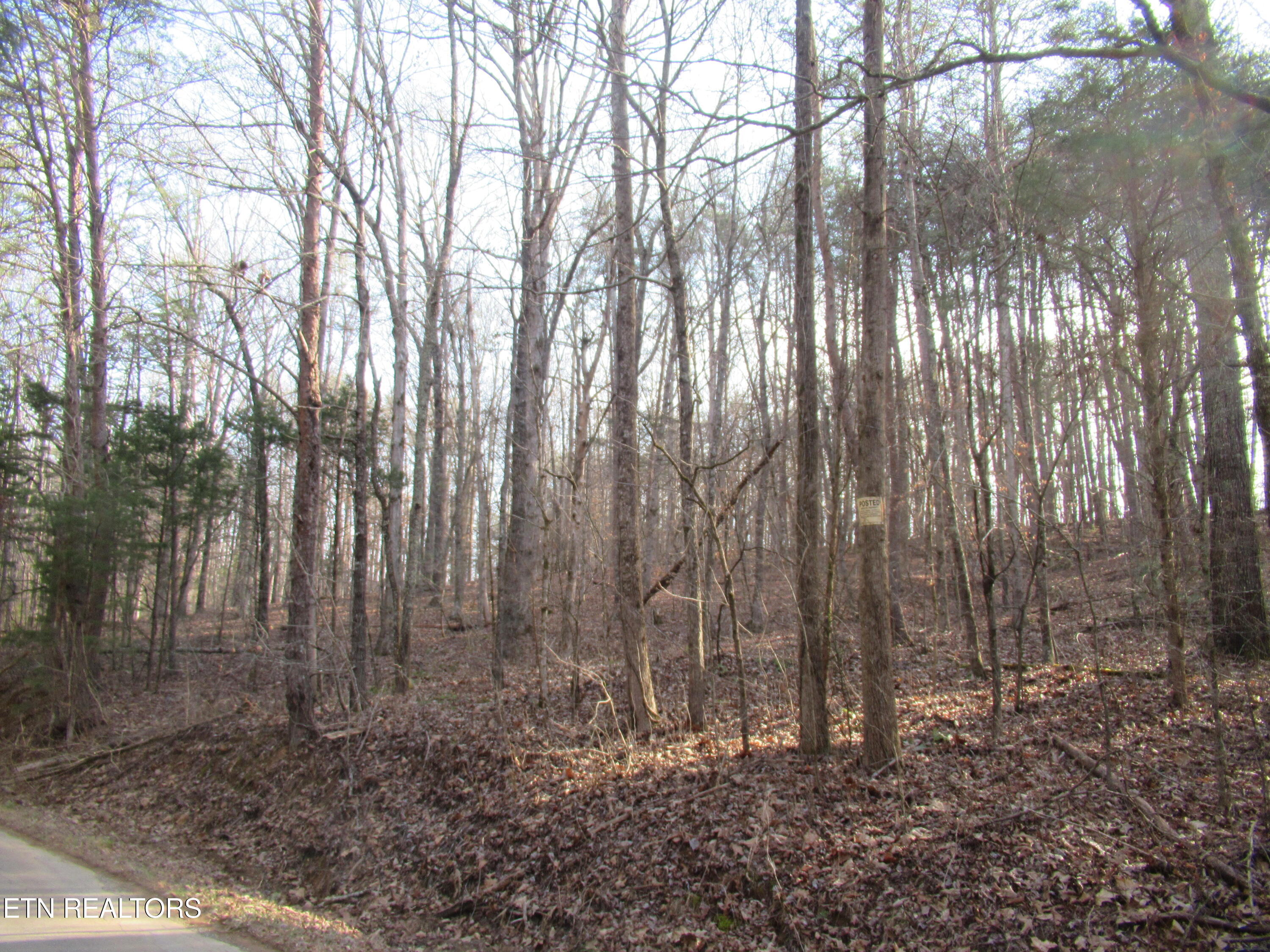 Tomotley Road Maryville, TN 37801 - Photo 12 of 12 IMG_2234