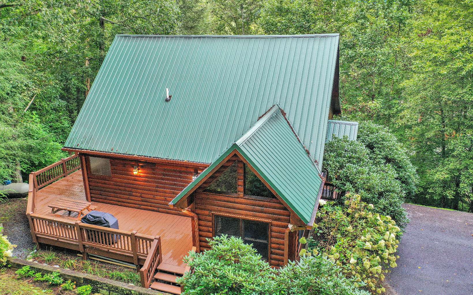 123 Lone Oak Lane Blue Ridge, GA 30513 - Photo 2 of 4 Additional View