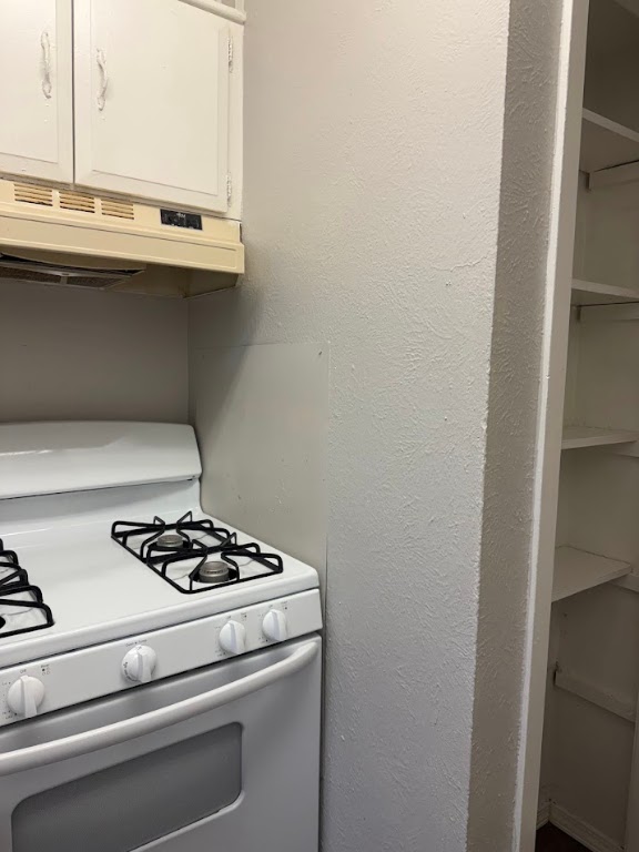 307 East 31st Street, Unit 204 Austin, TX 78705 - Photo 5 of 15