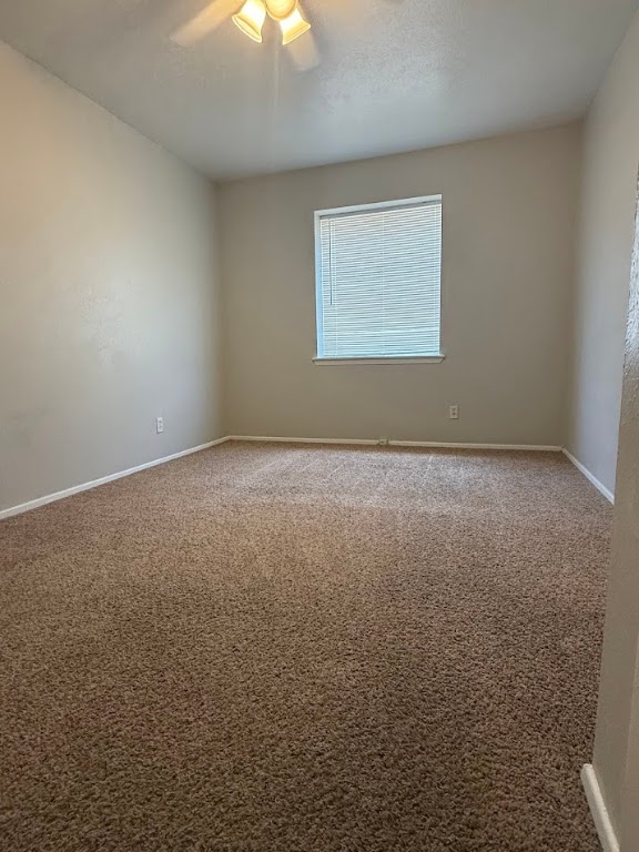 307 East 31st Street, Unit 204 Austin, TX 78705 - Photo 9 of 15