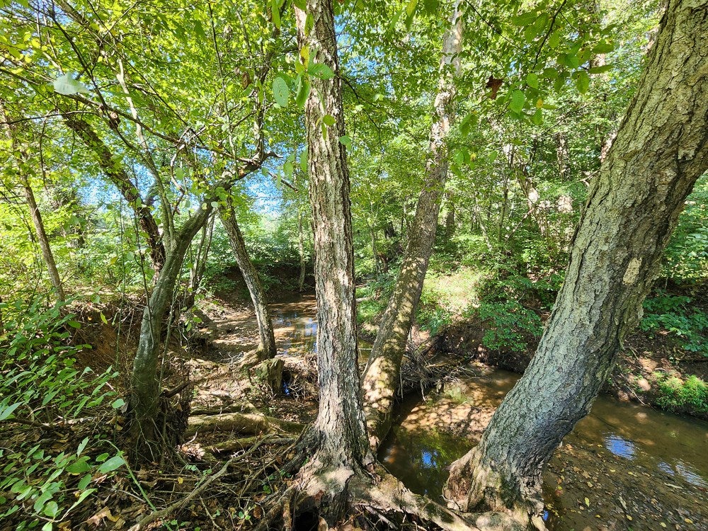 4465 Harmony Road Long Island, VA 24569 - Photo 21 of 51 Gallery Image 21