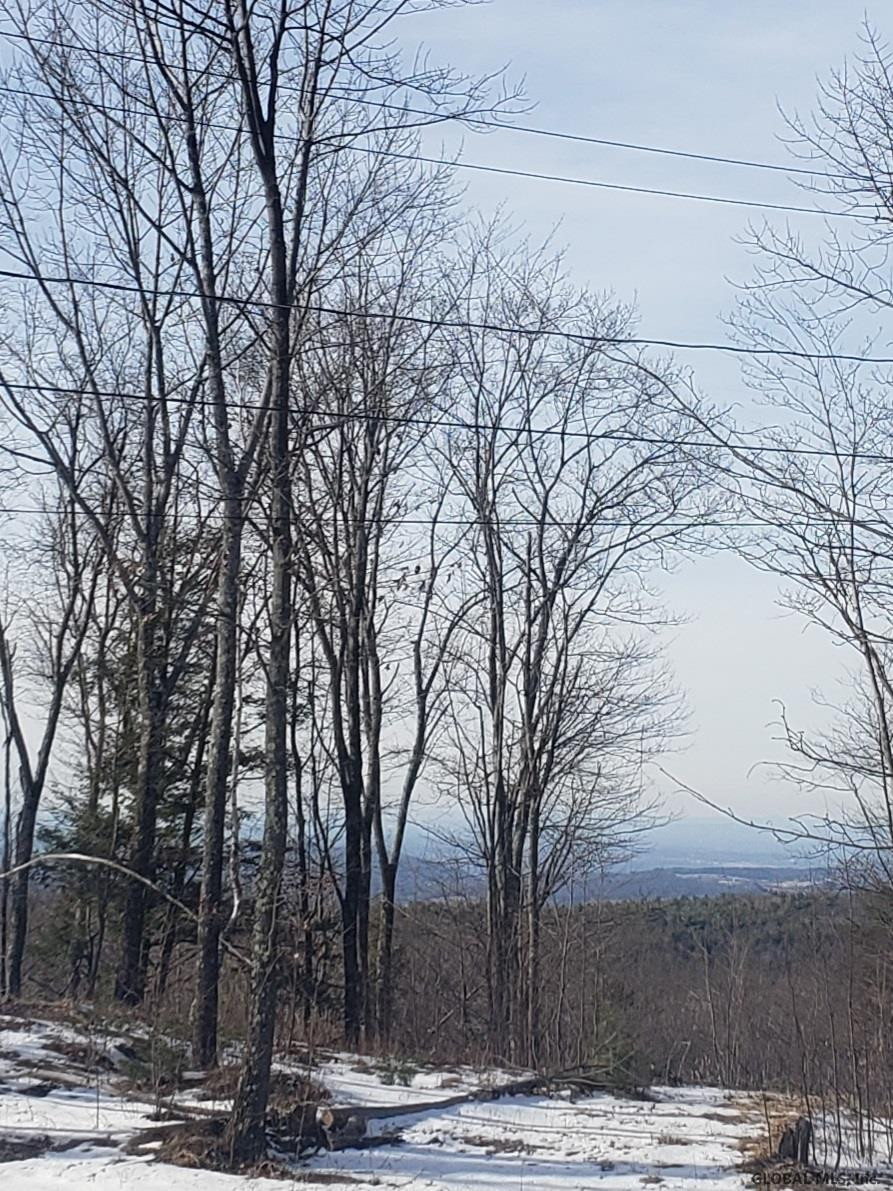 86 Blueberry Ridge Road Grafton, NY 12052 - Photo 2 of 3 Photo 2