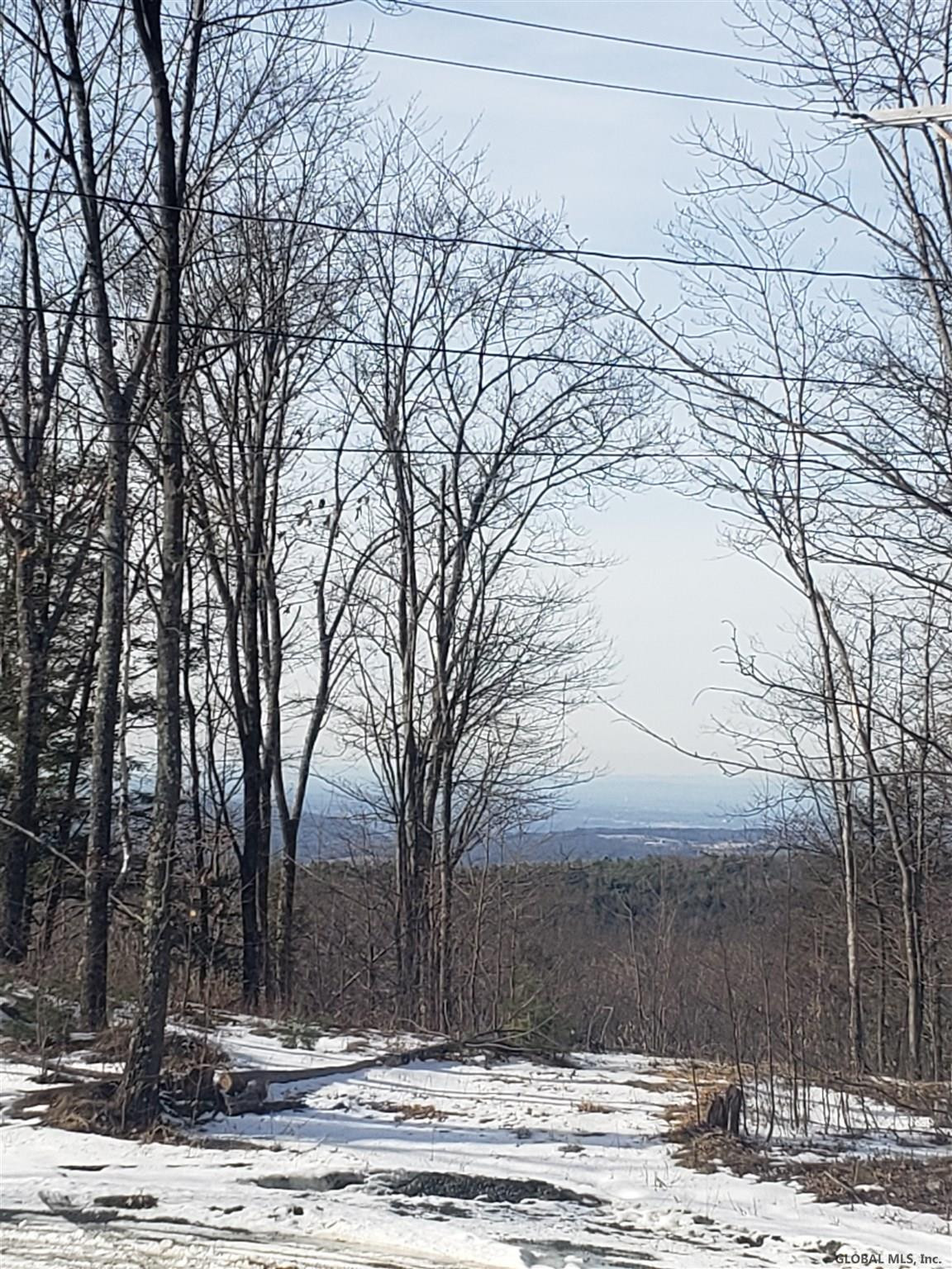 86 Blueberry Ridge Road Grafton, NY 12052 - Photo 3 of 3 Photo 3