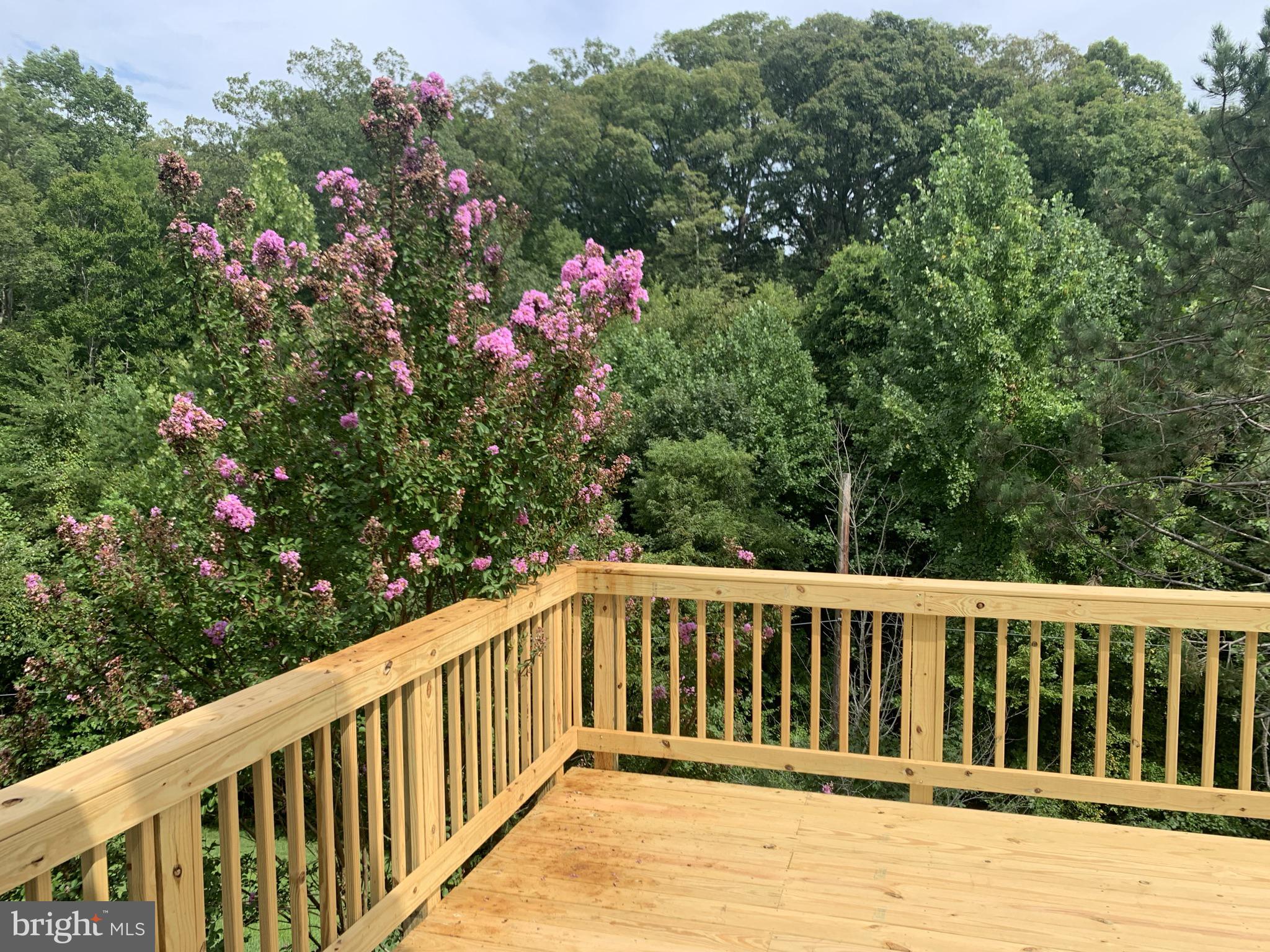 4013 Mammoth Cave Loop Dumfries, VA 22025 - Photo 11 of 27