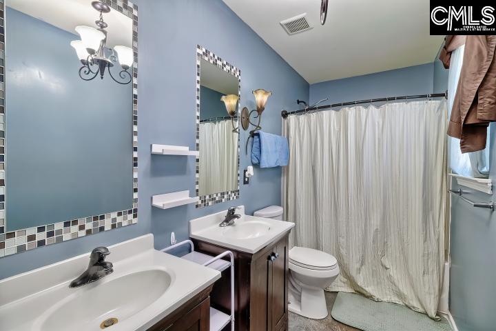 209 Eagle Pointe Drive Chapin, SC 29036 - Photo 33 of 40 a bathroom with a sink a toilet and mirror