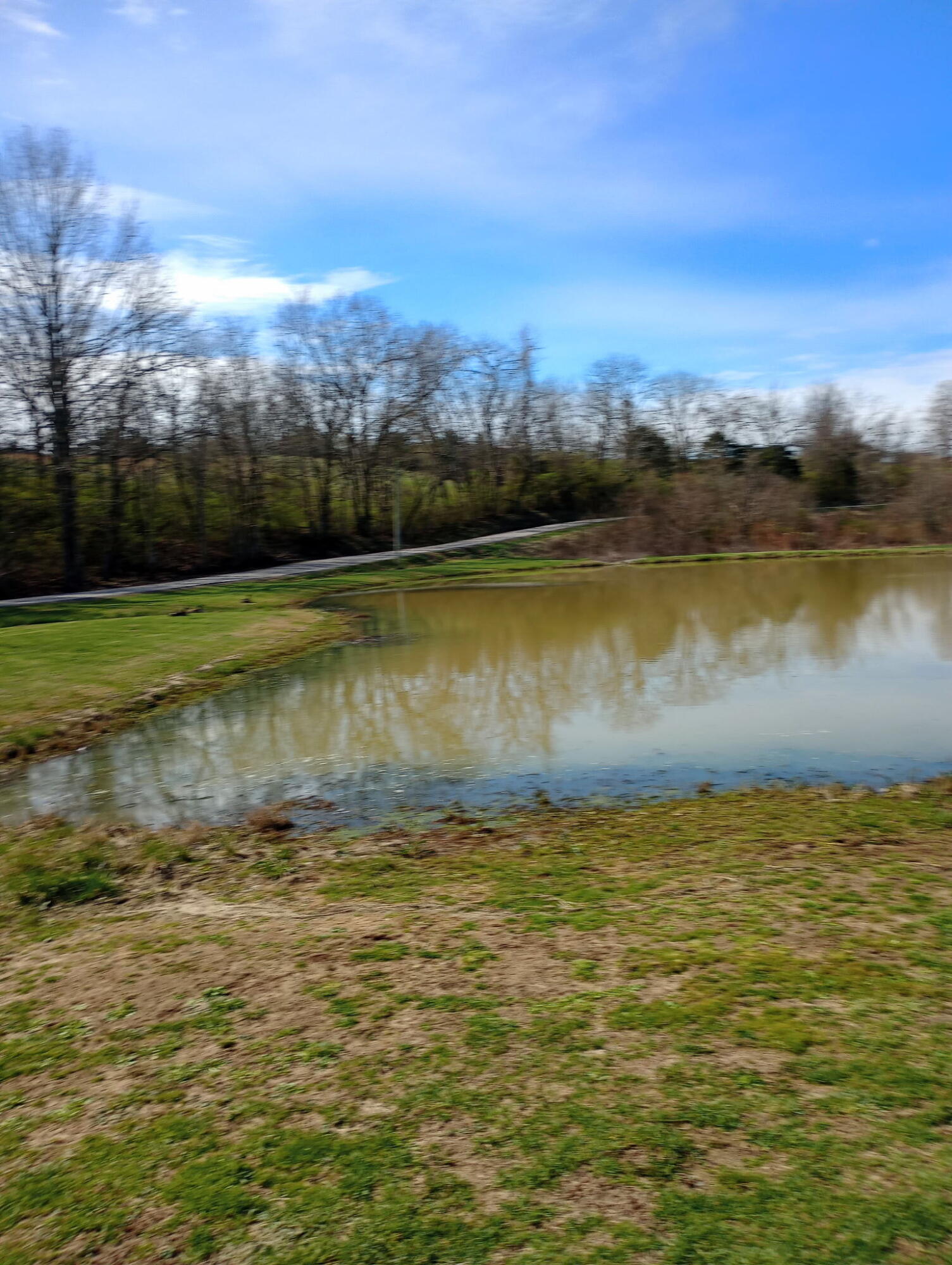 355 Mudlick Road Cynthiana, KY 41031 - Photo 23 of 31 5250111413219454465