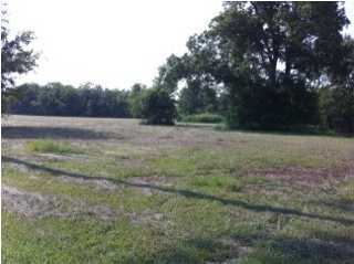 0 Rue Des Babineaux Road Scott, LA 70583 - Photo 6 of 11 Additional Photo
