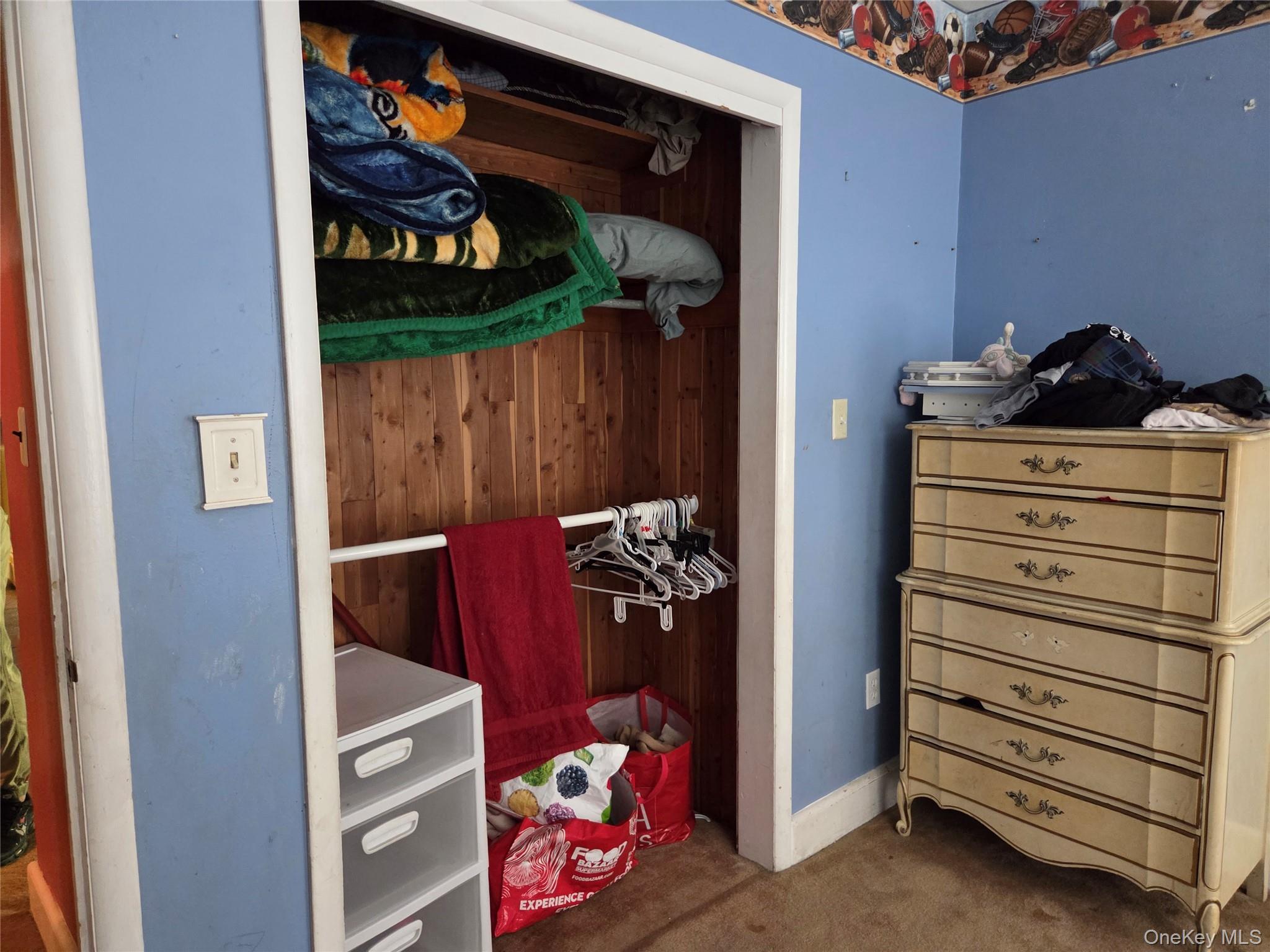 125 Zimmerman Road Loch Sheldrake, NY 12759 - Photo 11 of 43 a view of walk in closet and storage