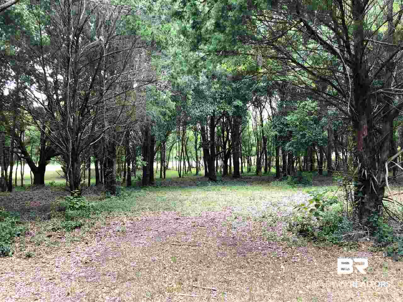 16440 Newman Road Summerdale, AL 36580 - Photo 11 of 29