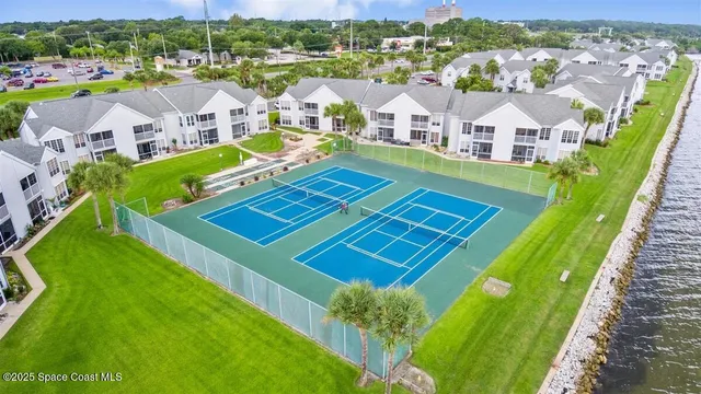 a bird sitting on top of a wooden floor