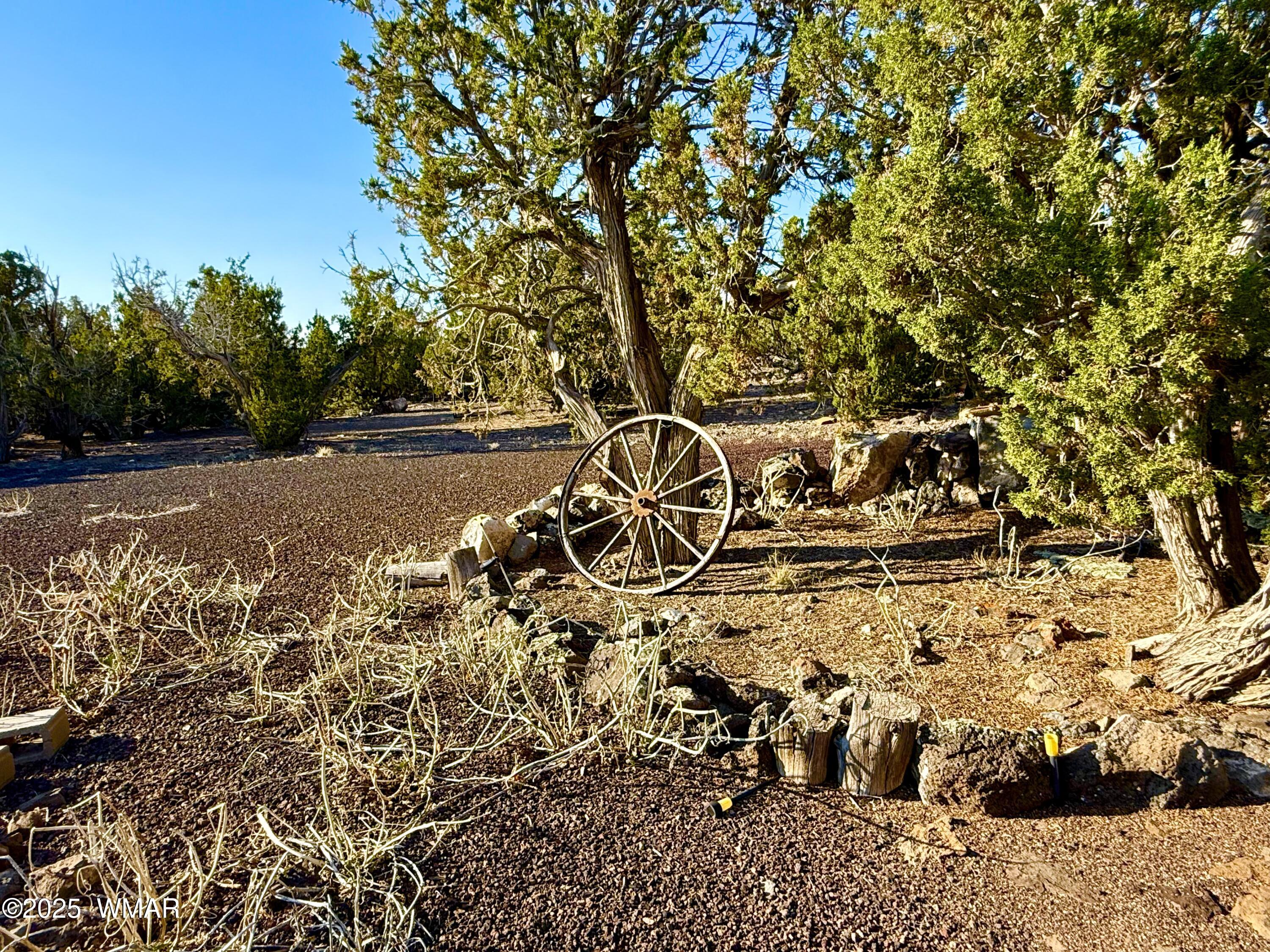 37 Co Road Concho, AZ 85924 - Photo 13 of 41 IMG_1053