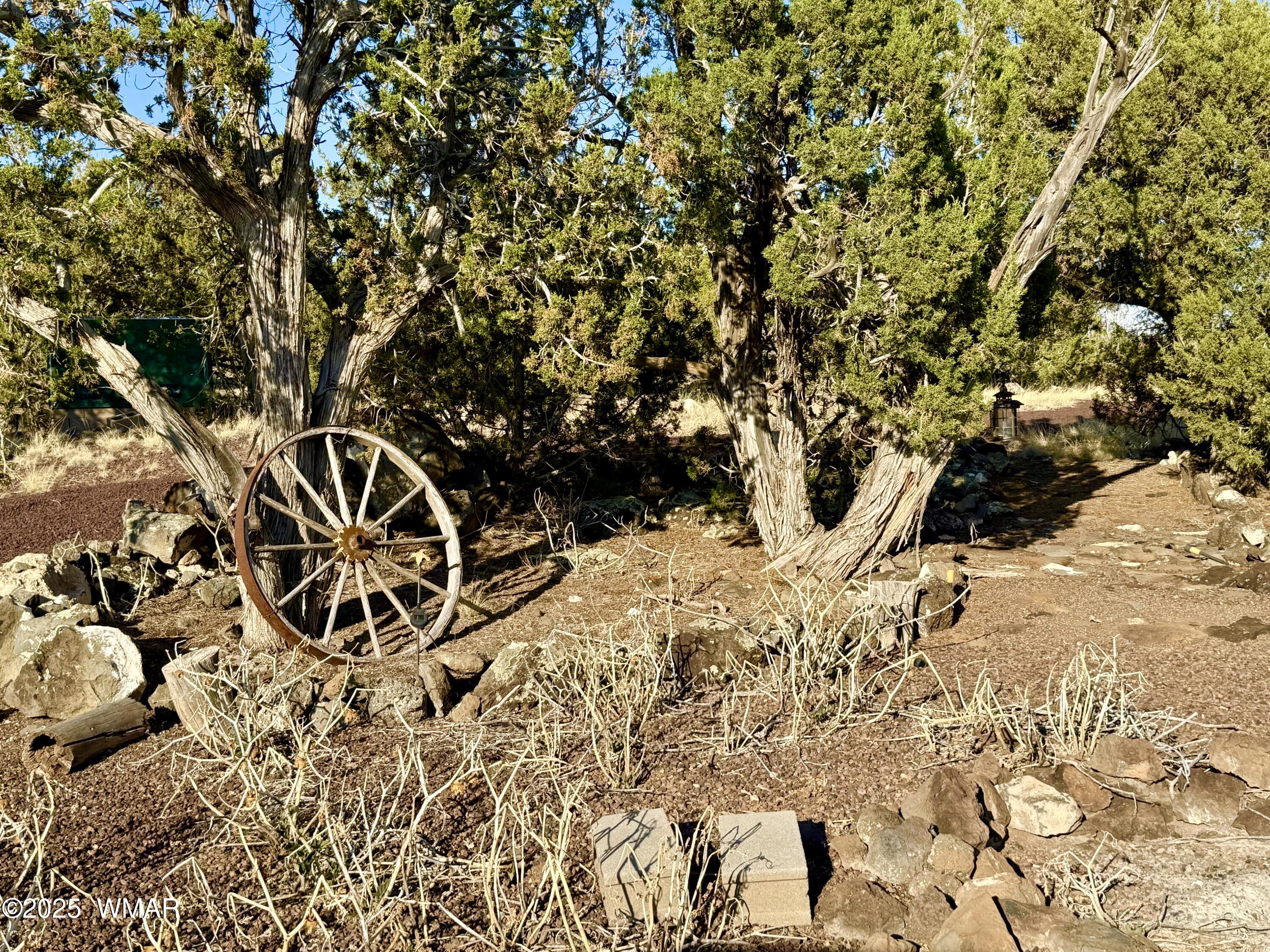 37 Co Road Concho, AZ 85924 - Photo 16 of 41 IMG_1045