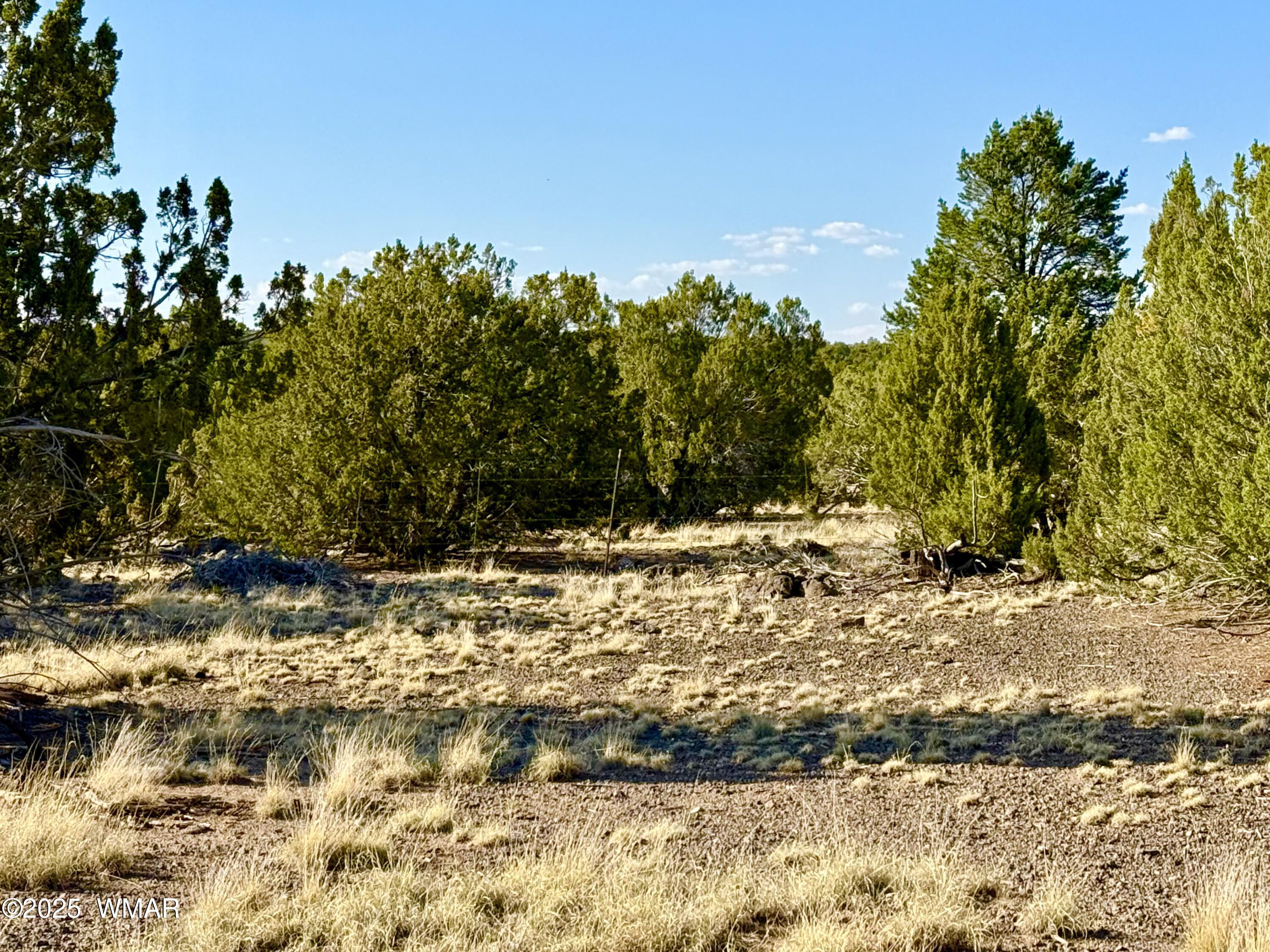 37 Co Road Concho, AZ 85924 - Photo 17 of 41 IMG_0989