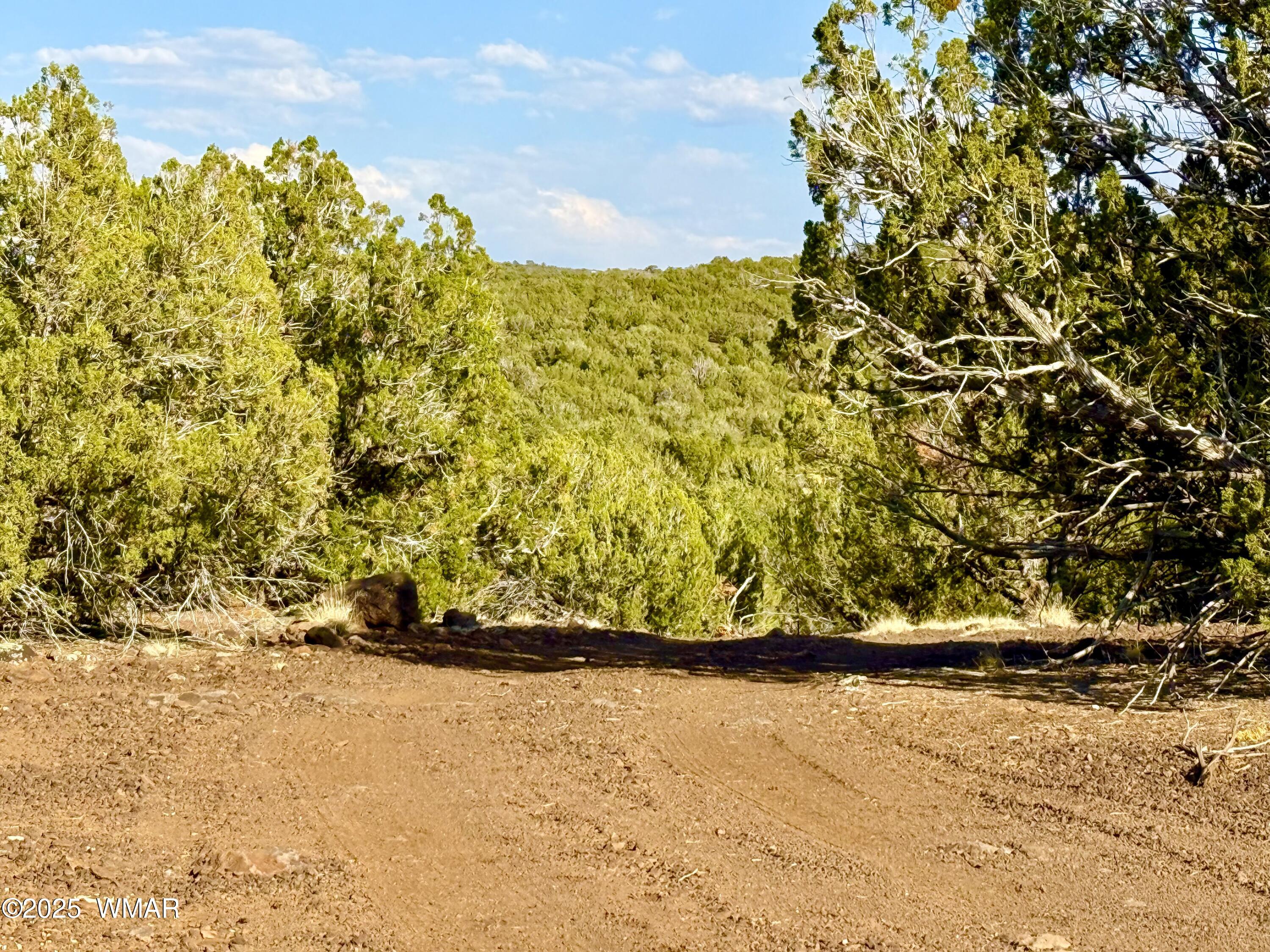 37 Co Road Concho, AZ 85924 - Photo 18 of 41 IMG_0995