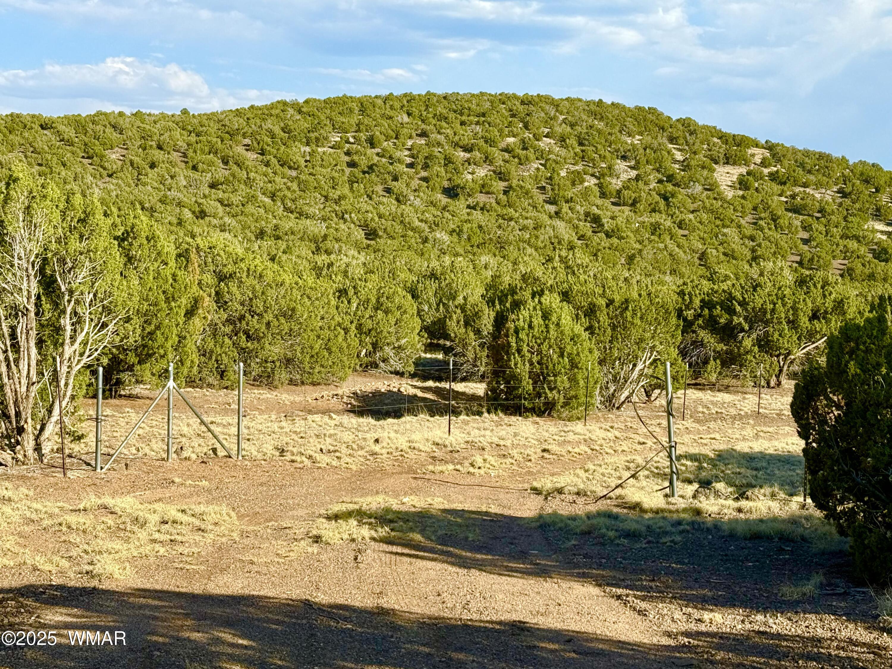 37 Co Road Concho, AZ 85924 - Photo 19 of 41 IMG_0996