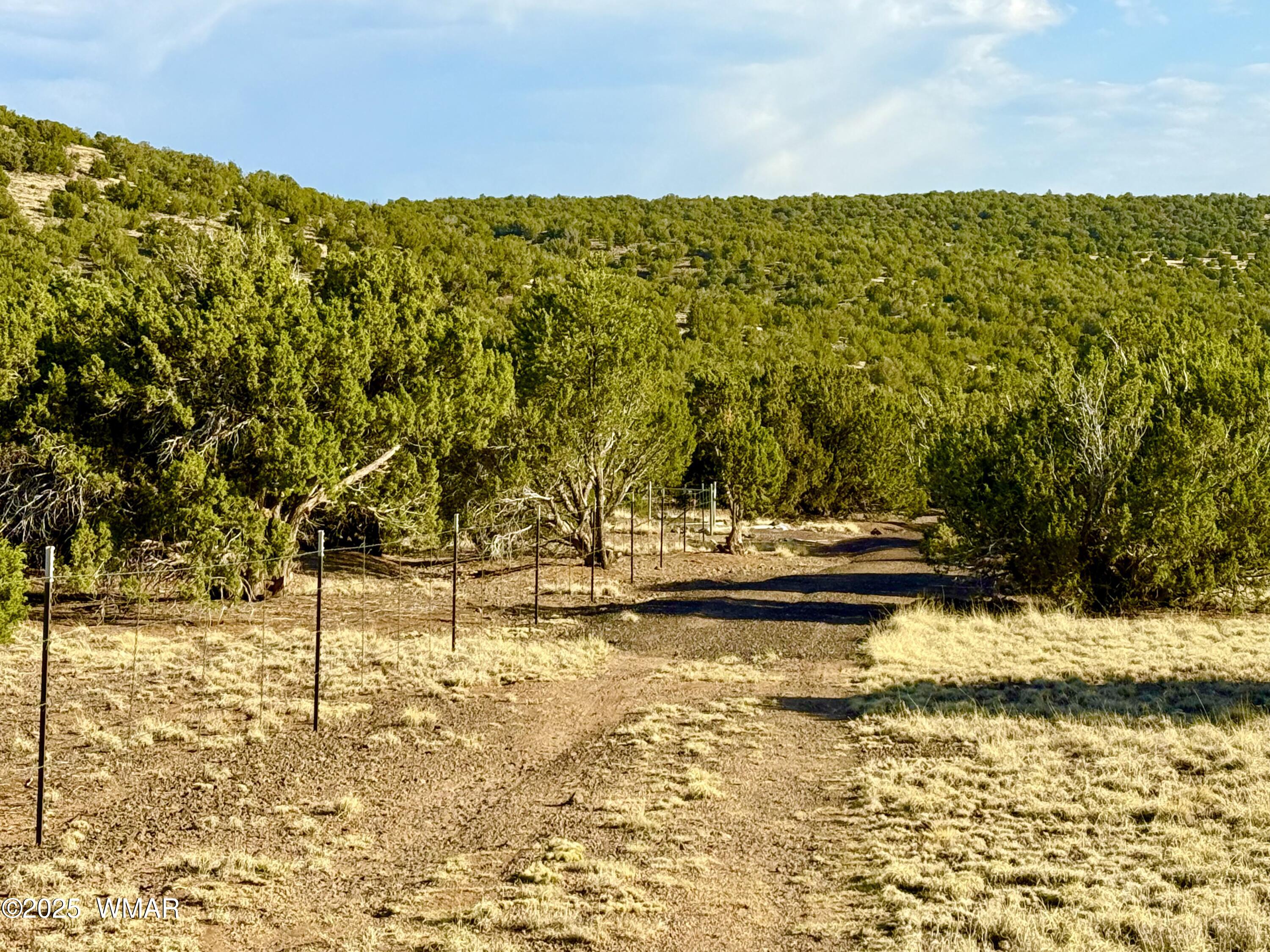 37 Co Road Concho, AZ 85924 - Photo 20 of 41 IMG_0999