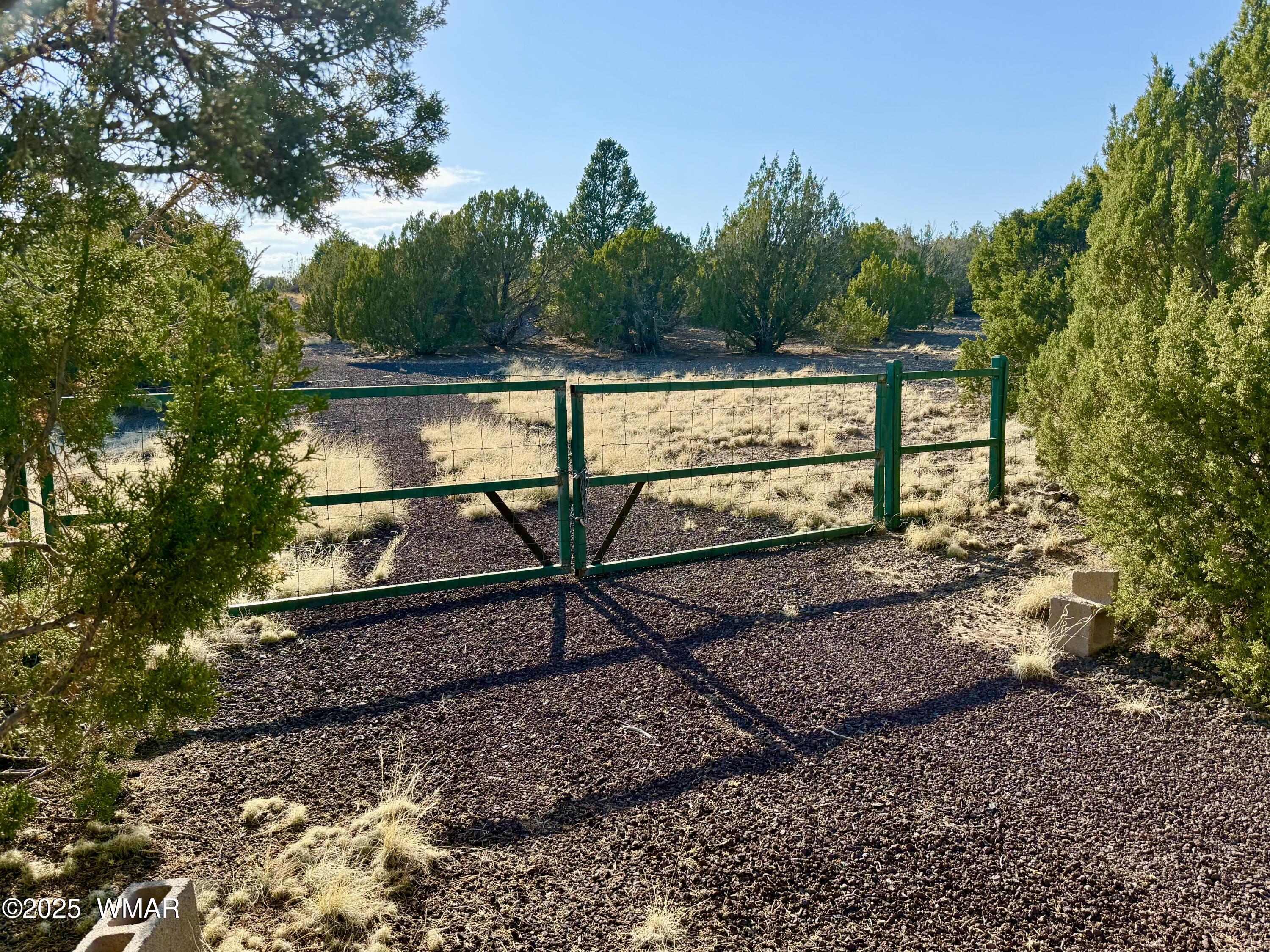 37 Co Road Concho, AZ 85924 - Photo 2 of 41 IMG_1004