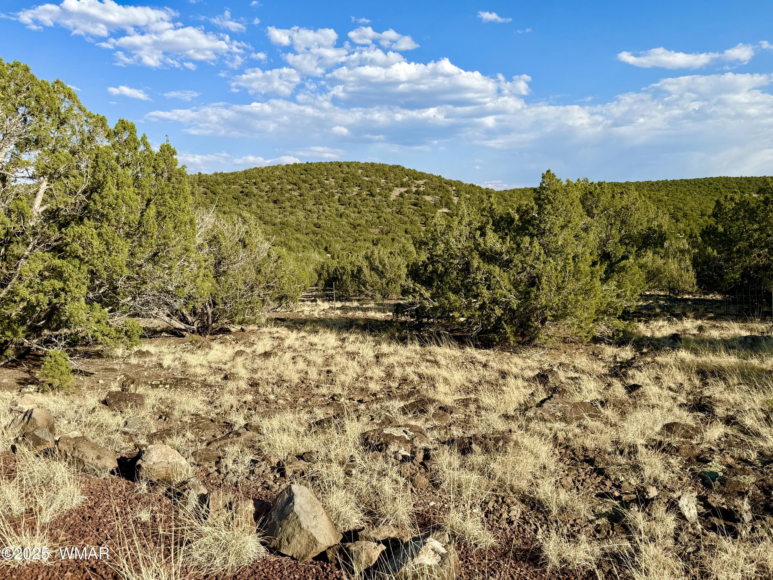 37 Co Road Concho, AZ 85924 - Photo 21 of 41 IMG_1013 (1)