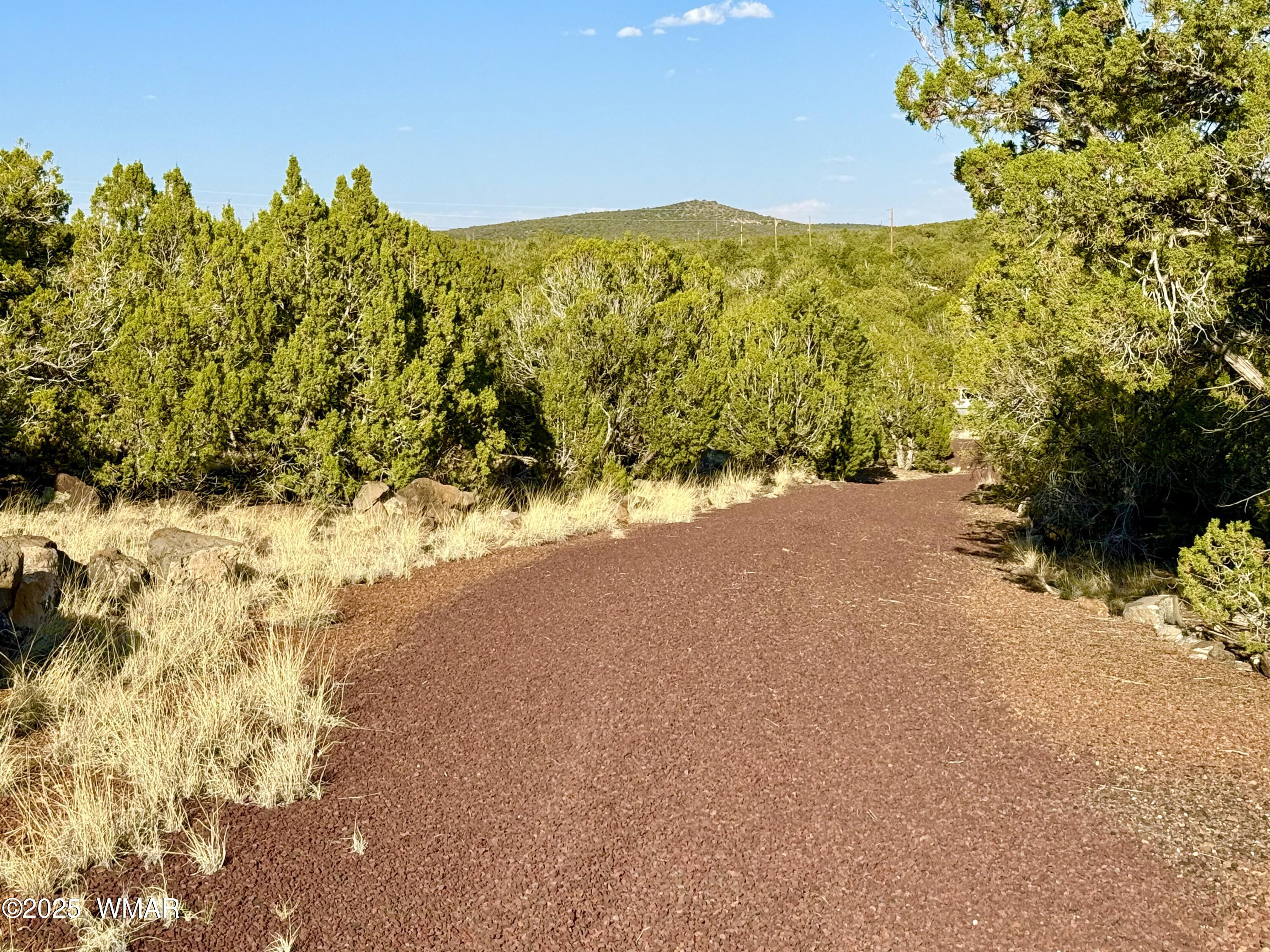 37 Co Road Concho, AZ 85924 - Photo 22 of 41 IMG_1015 (1)