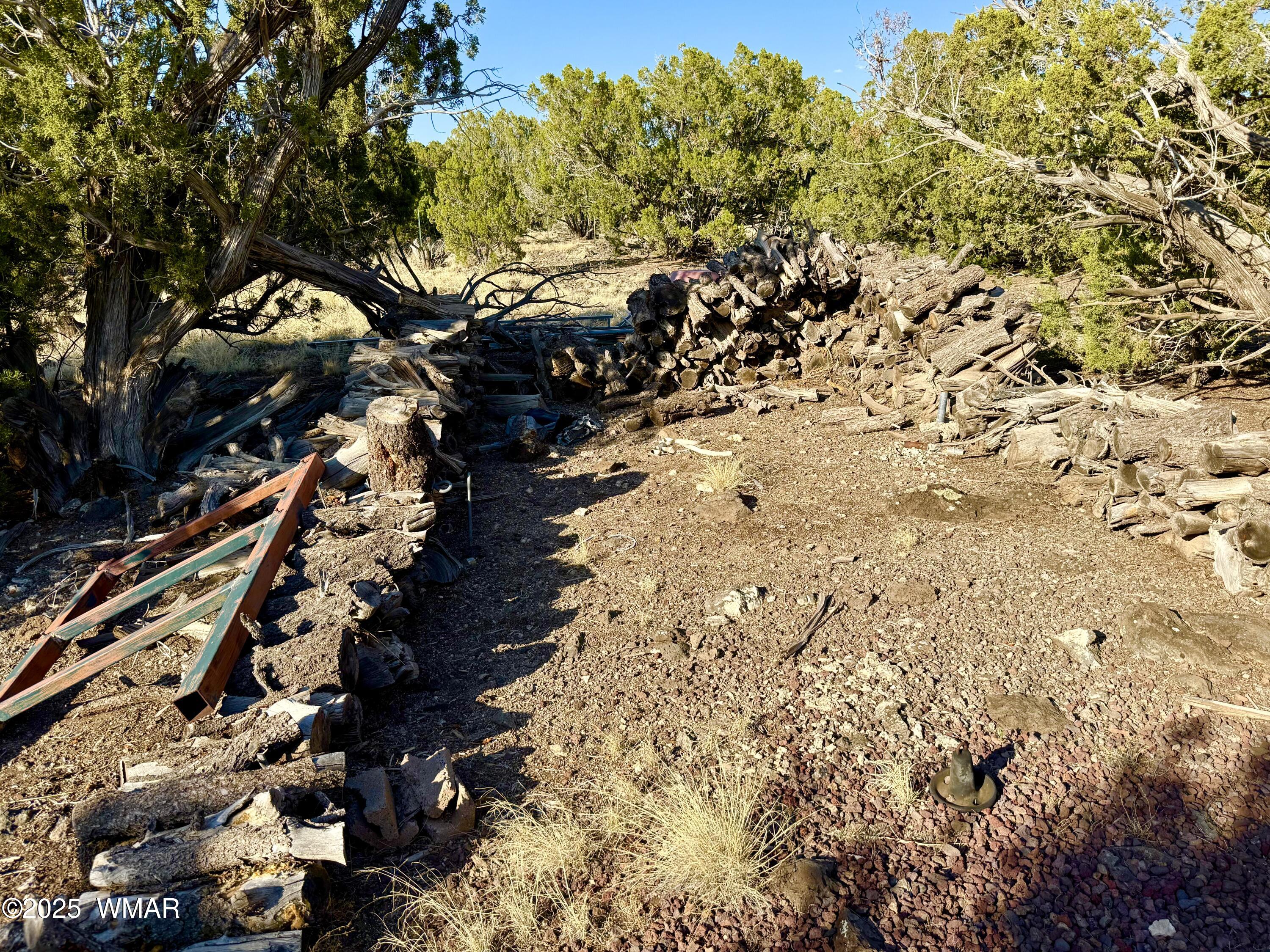 37 Co Road Concho, AZ 85924 - Photo 23 of 41 IMG_1020
