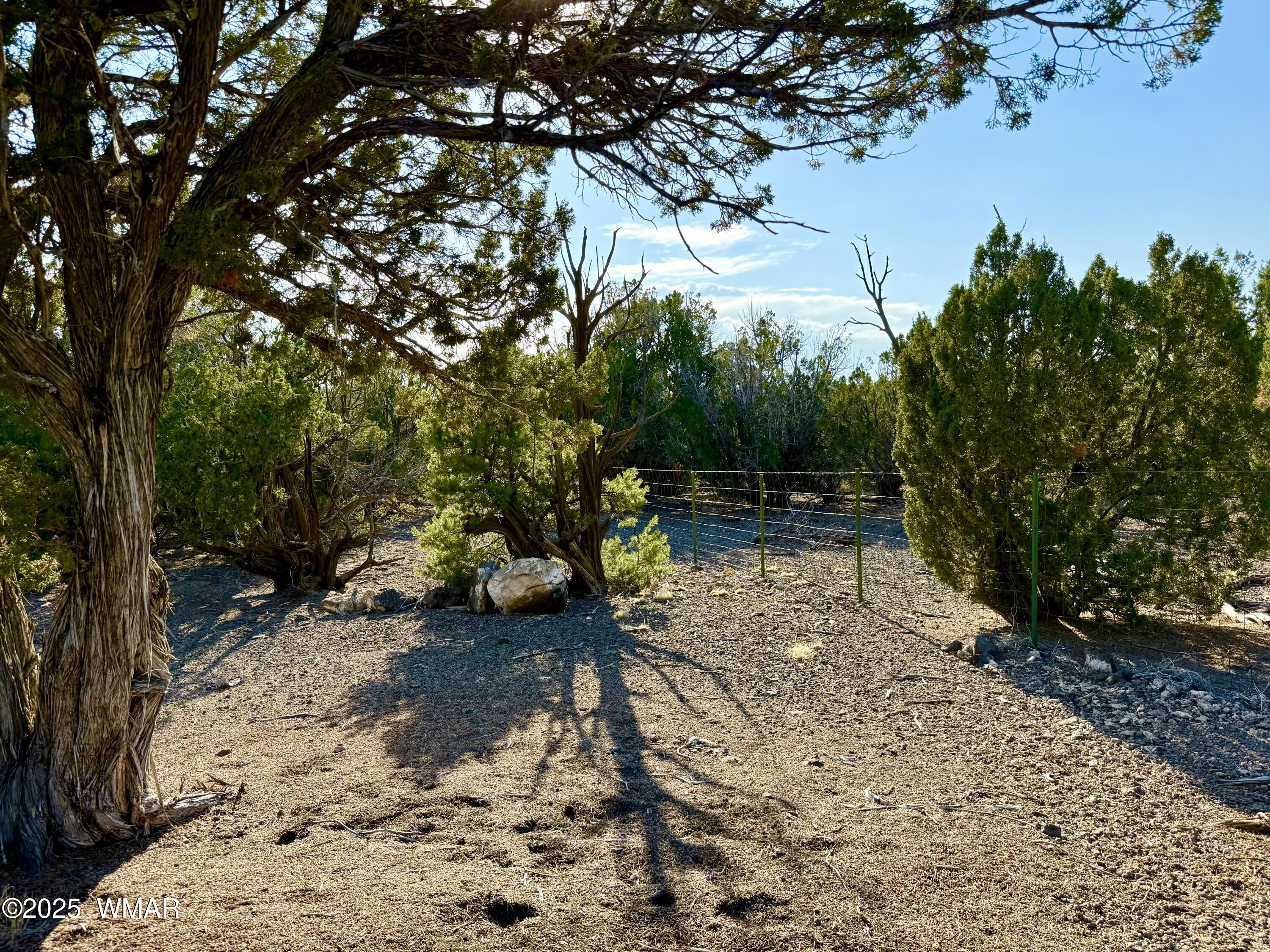 37 Co Road Concho, AZ 85924 - Photo 24 of 41 IMG_1024 (1)