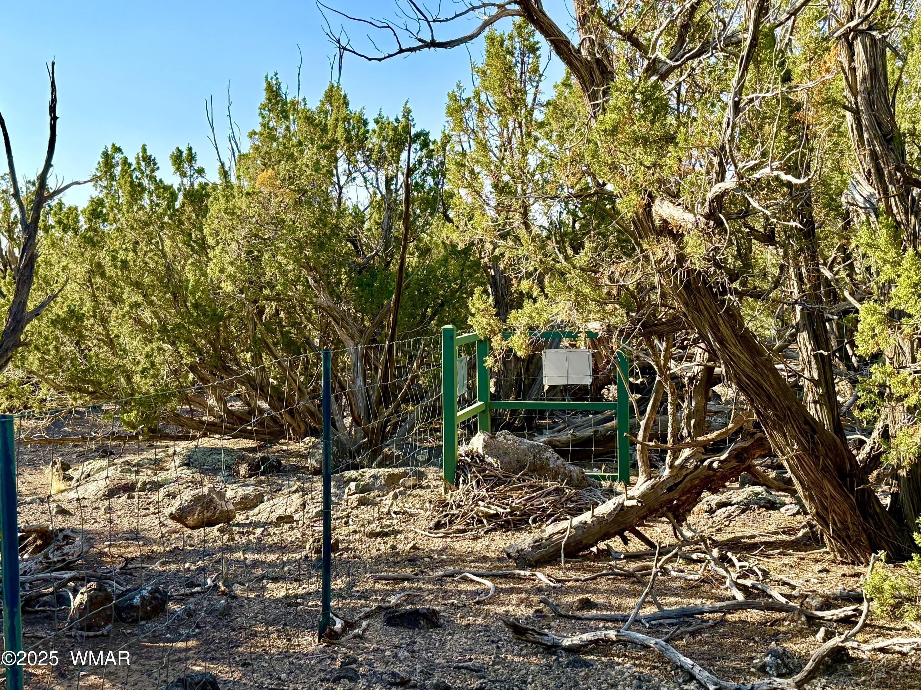 37 Co Road Concho, AZ 85924 - Photo 25 of 41 IMG_1028 (1)